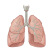 Lung Cancer Surgery
